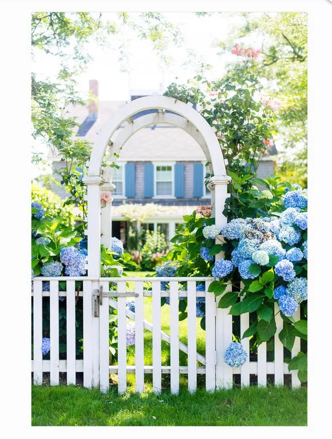 Hydrangea Arbor - Nantucket Print Shop (Etsy)