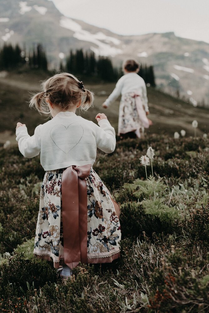 Revelstoke Elopement-10.jpg