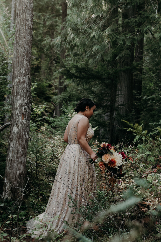 Revelstoke Elopement-1.jpg