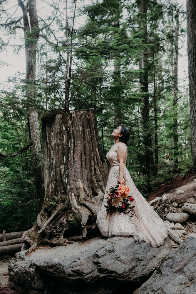 Revelstoke Elopement-23.jpg