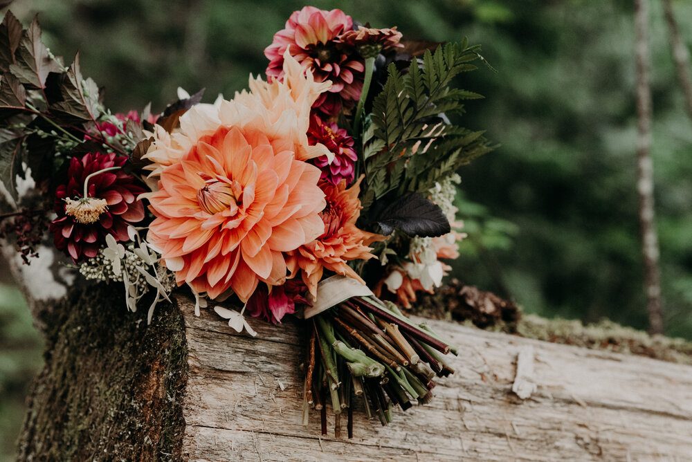 Revelstoke Elopement-41.jpg