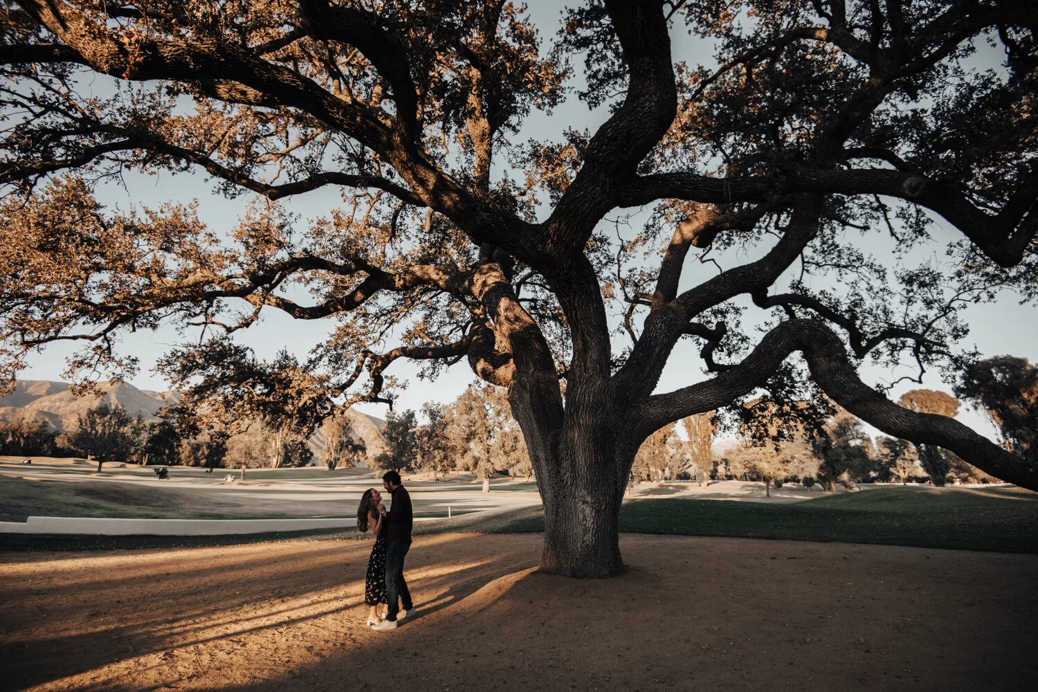 California Sunshine 