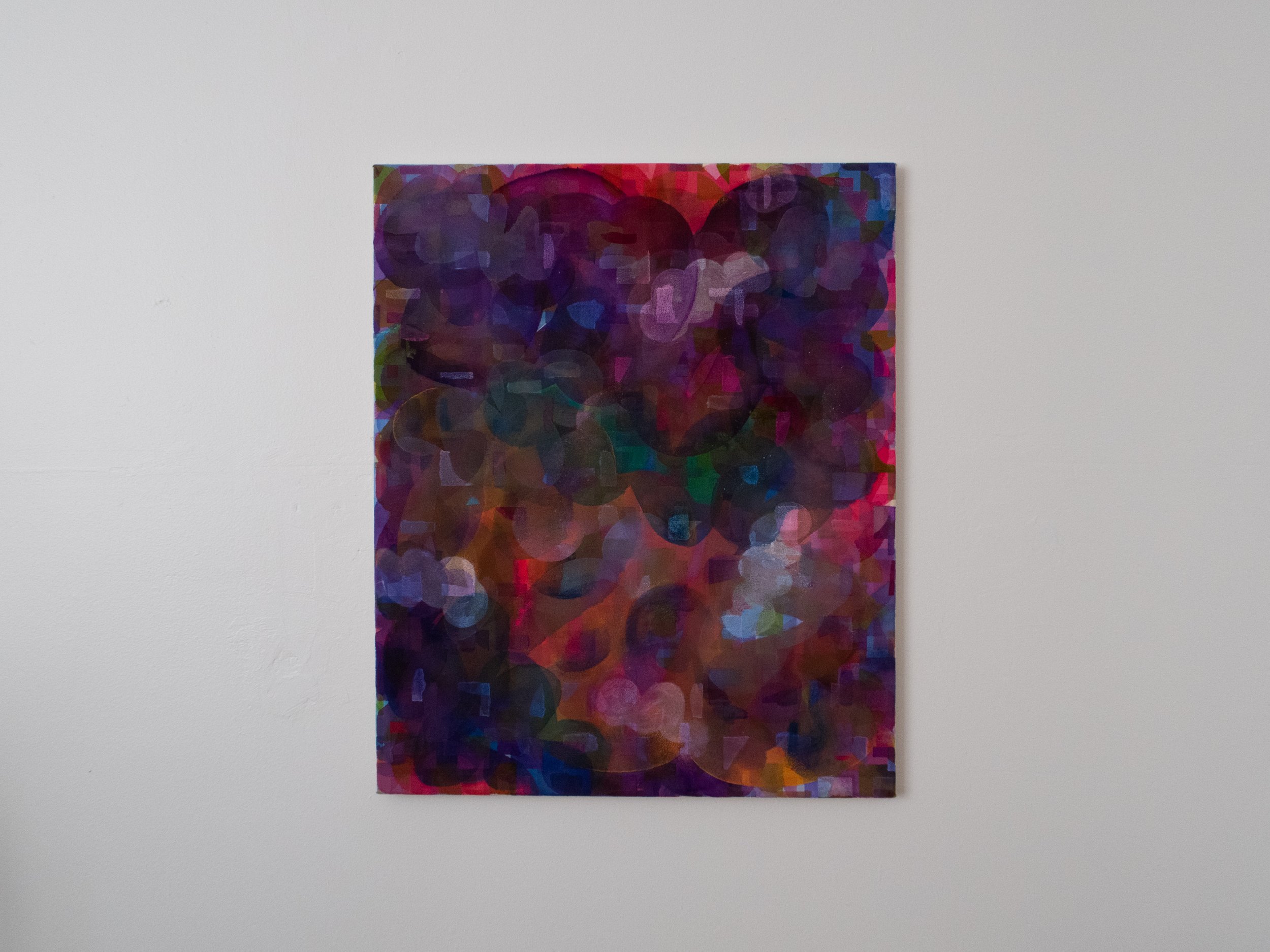 superbloom with wall.jpg