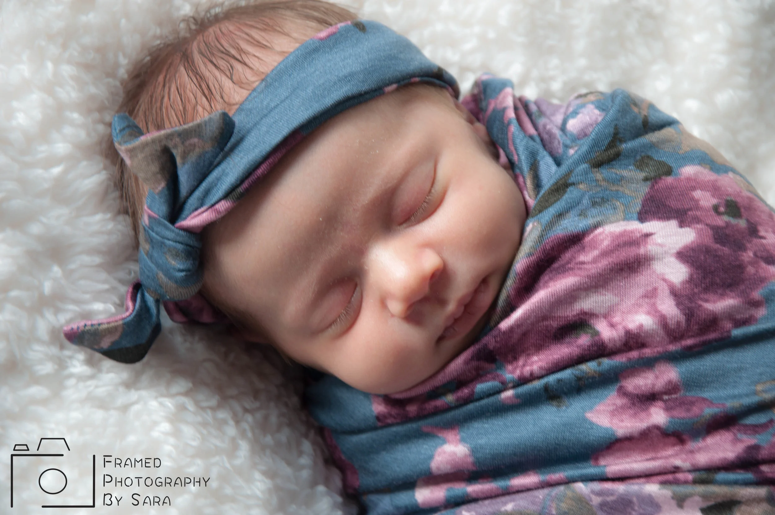 penny watermark 5.jpg