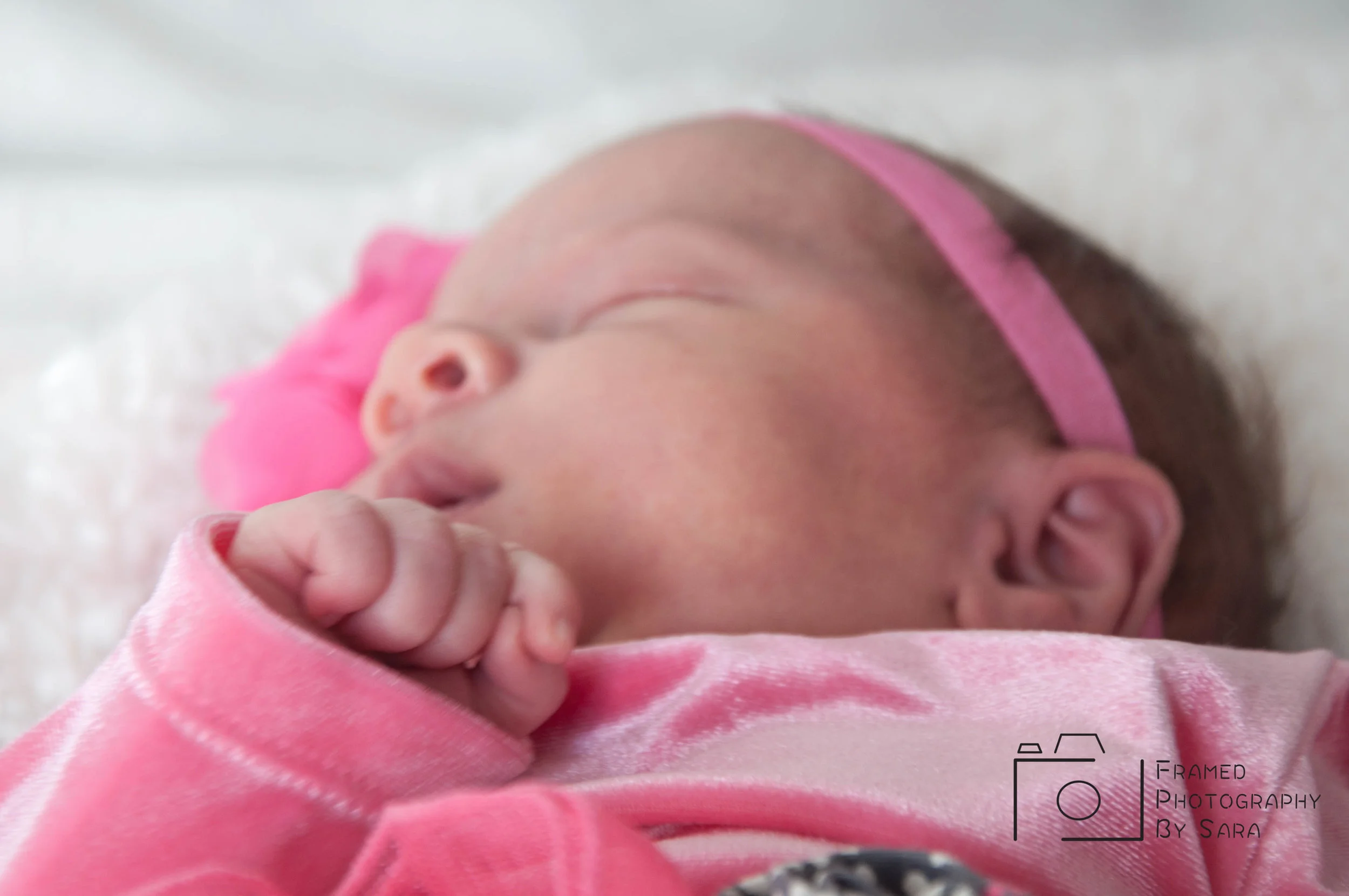 penny watermark 6.jpg