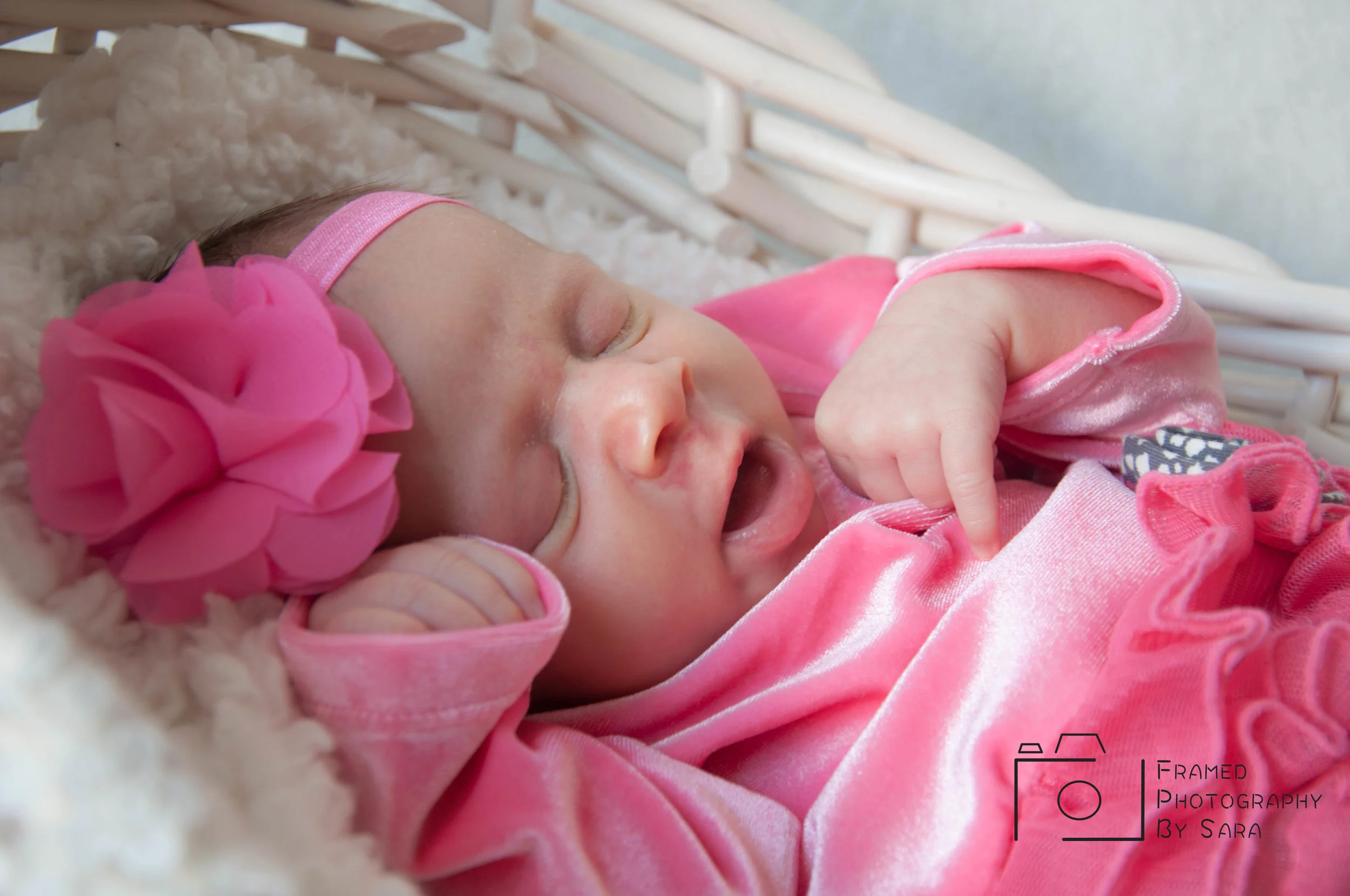 penny watermark 8.jpg