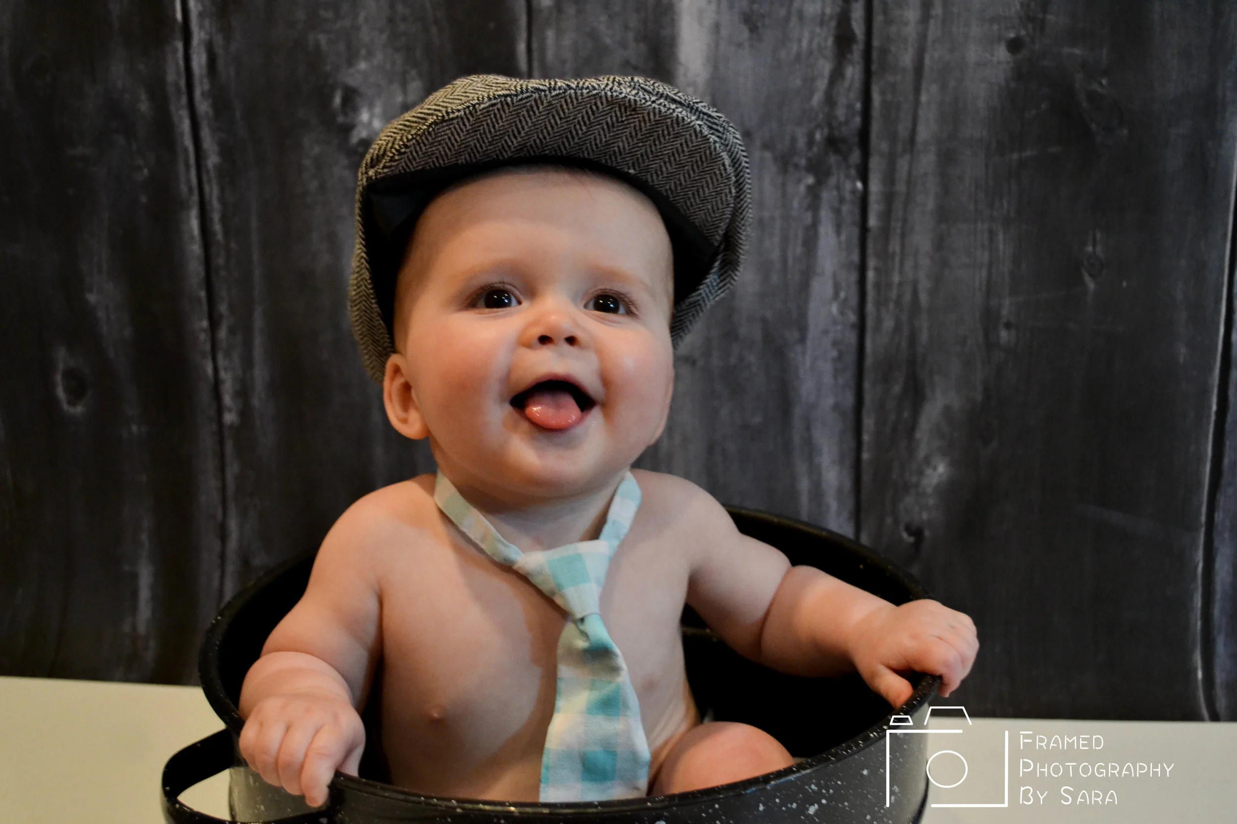 marsh watermark 3.jpg