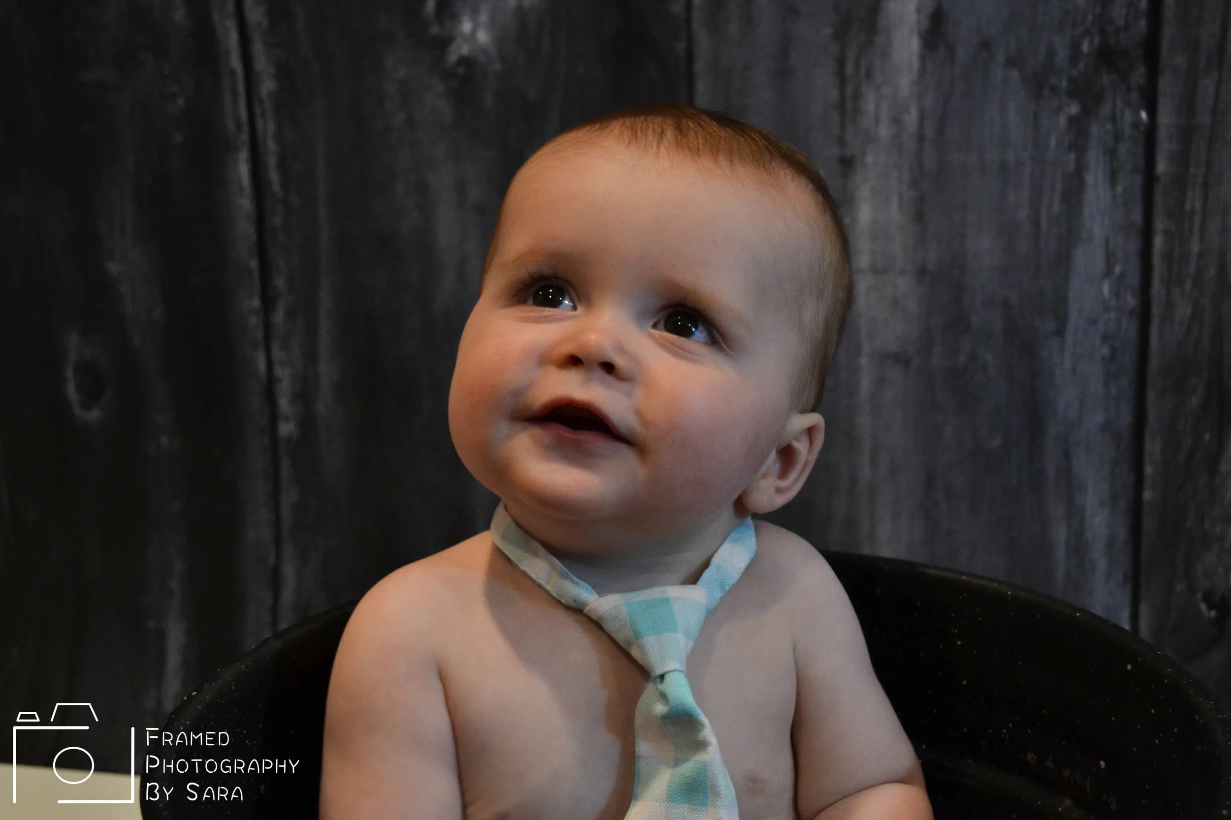 marsh watermark 6.jpg