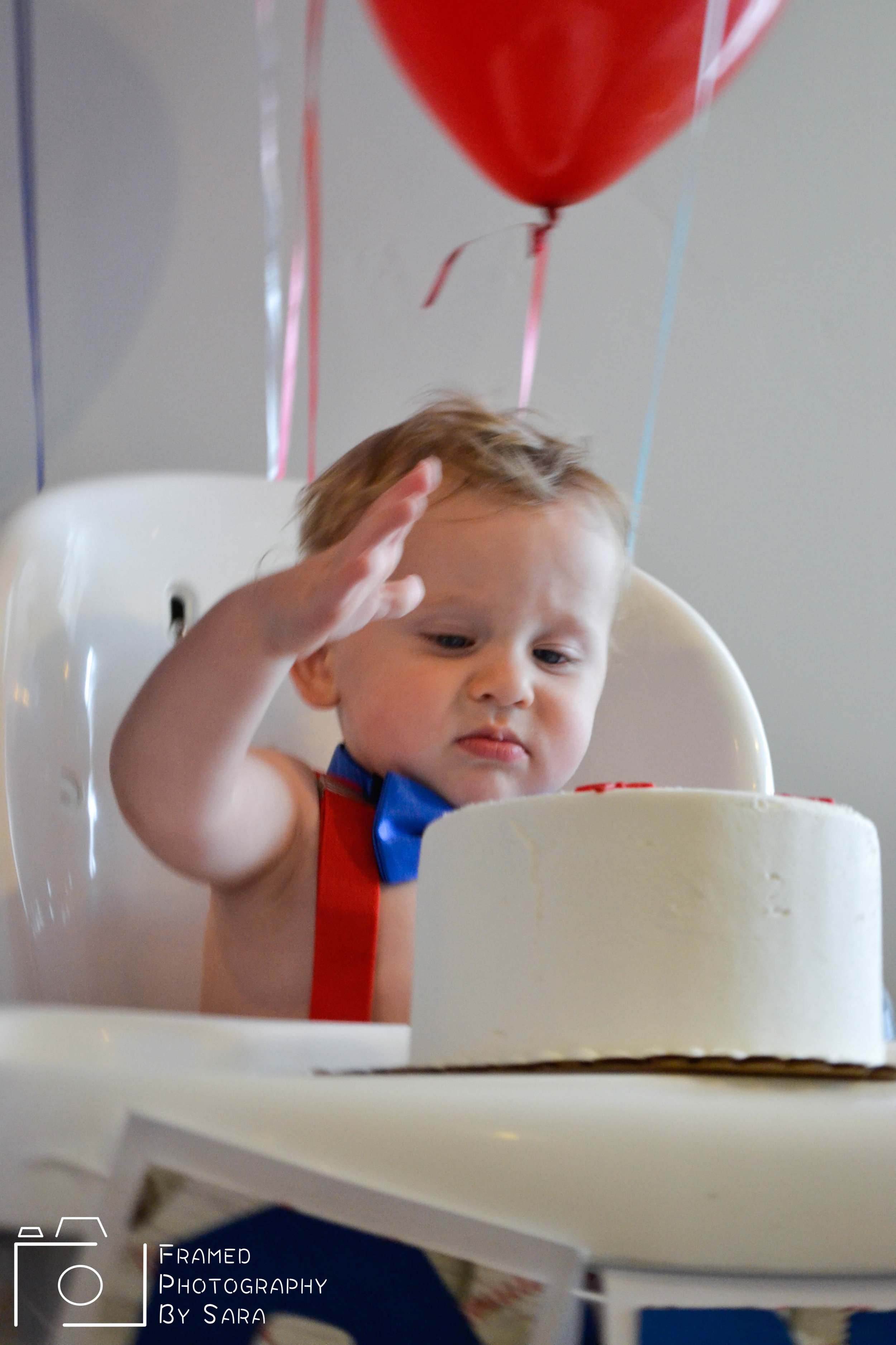 bellamy watermark 3.jpg