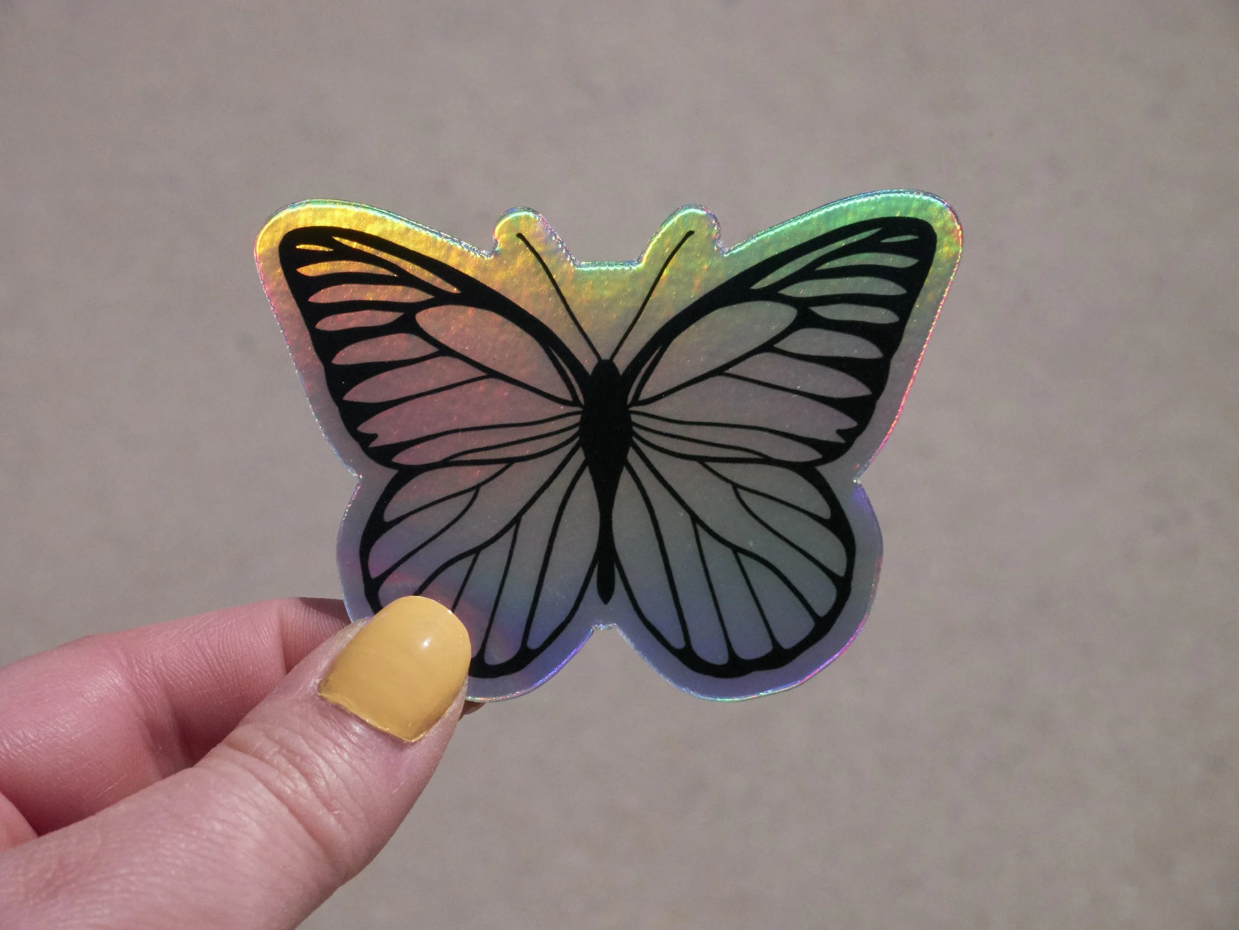 butterfly holo 2.jpg