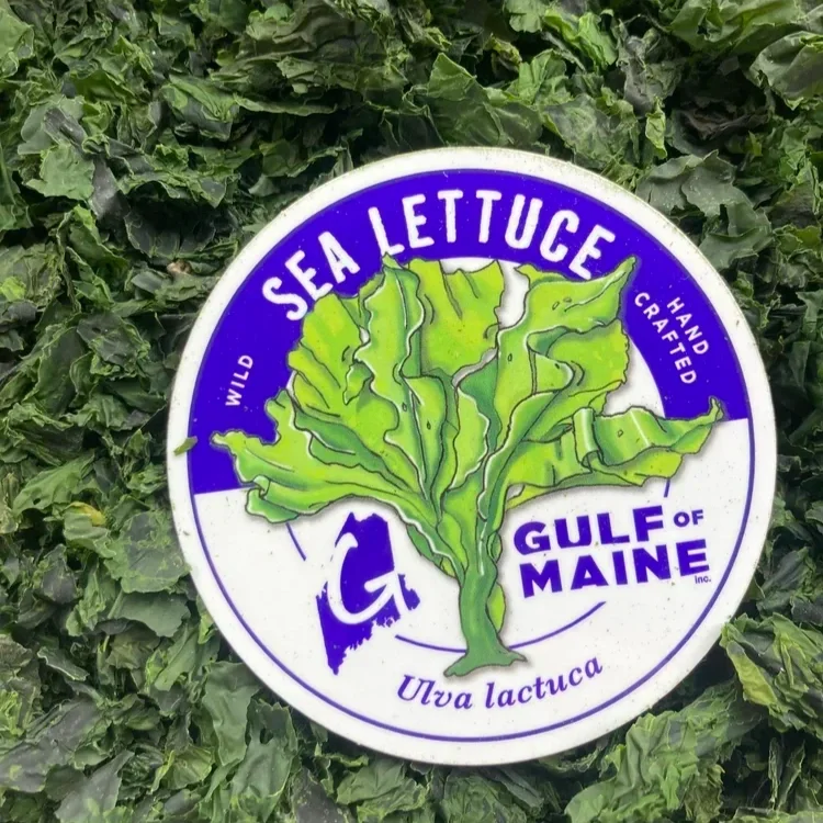 Sea+Lettuce+%28Ulva+lactuca%29+Whole+Leaf%2C+Flakes%2C+Powder.webp