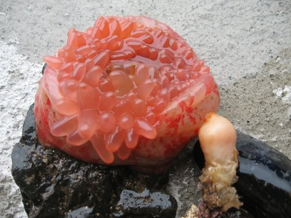 RkMyQTJGNDAxRDg2Nzg5MDFBQ0Q6NTFmMjJjMWU2YTJhMDhkMzQ3MDE1MjRiNmEyZjllZTA6Ojo6OjA=.jpg