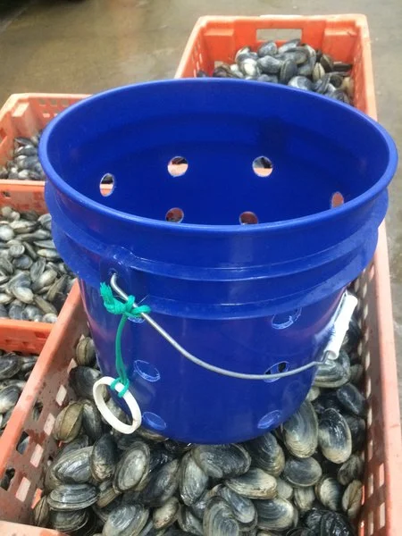 Clam Tm Racking Gulf Of Maine, Inc. | Clamming Tools | Clamming Forks/Rakes, Baskets ...