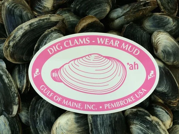 clam.jpg