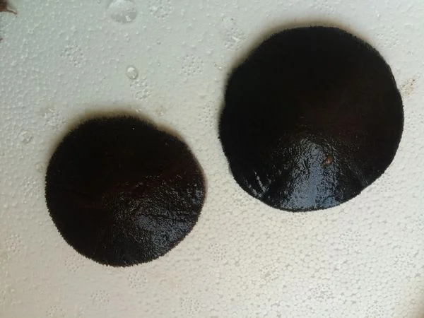 rs=w_600,h_600-12.jpg