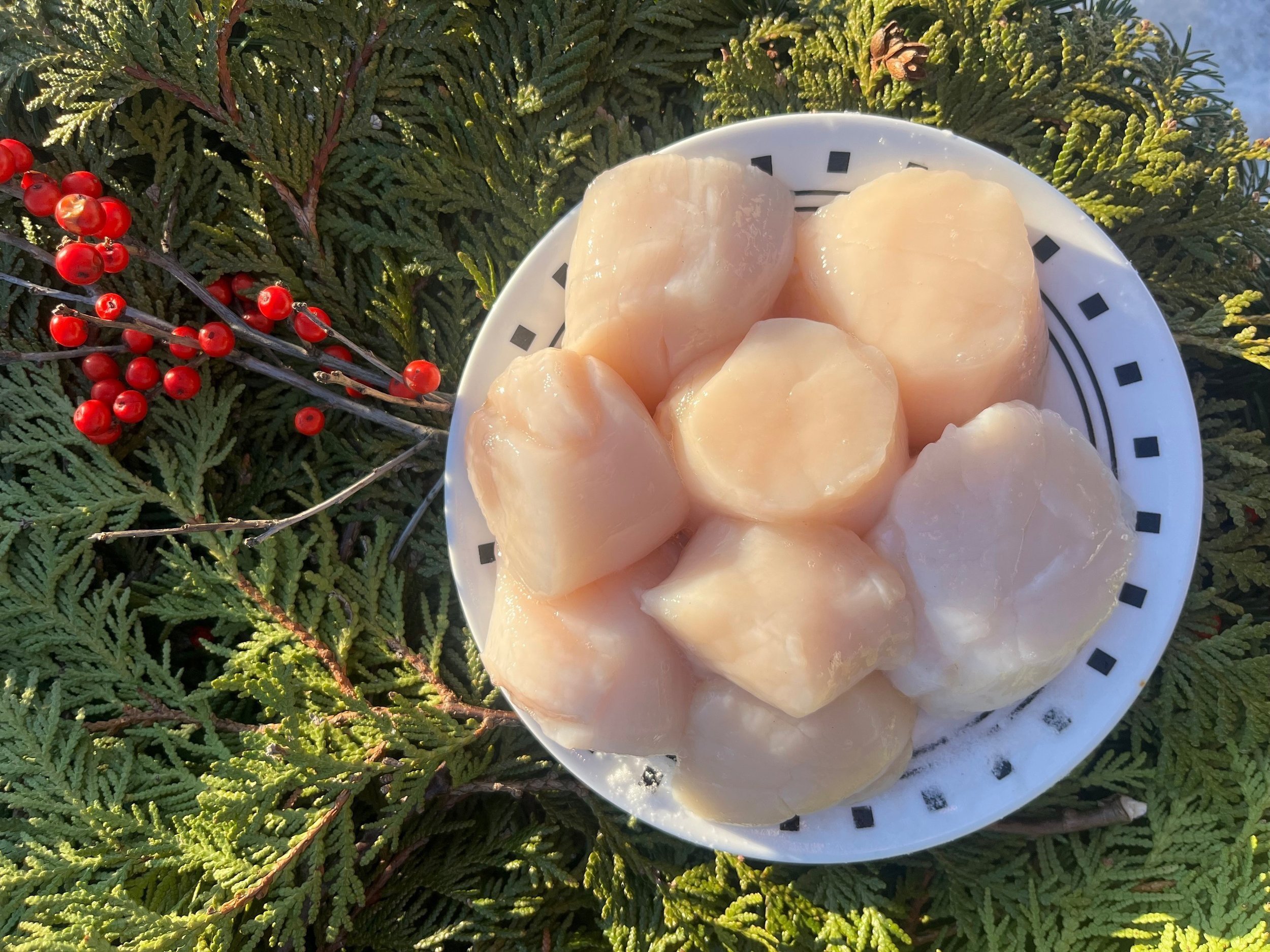 Diver Sea Scallops FREE SHIPPING Gulf Of Maine, Inc.