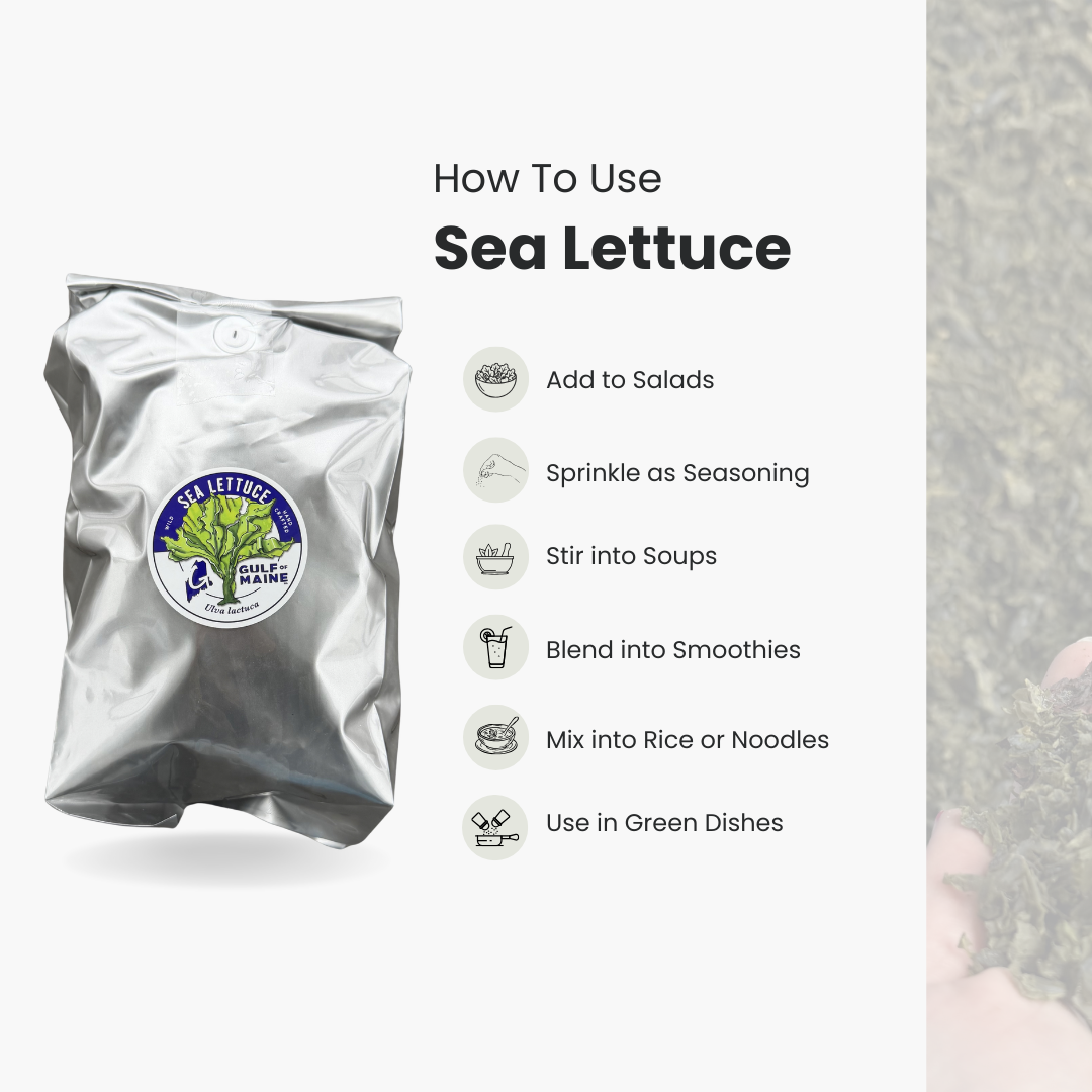 How+to+use+Sea+Lettuce.png