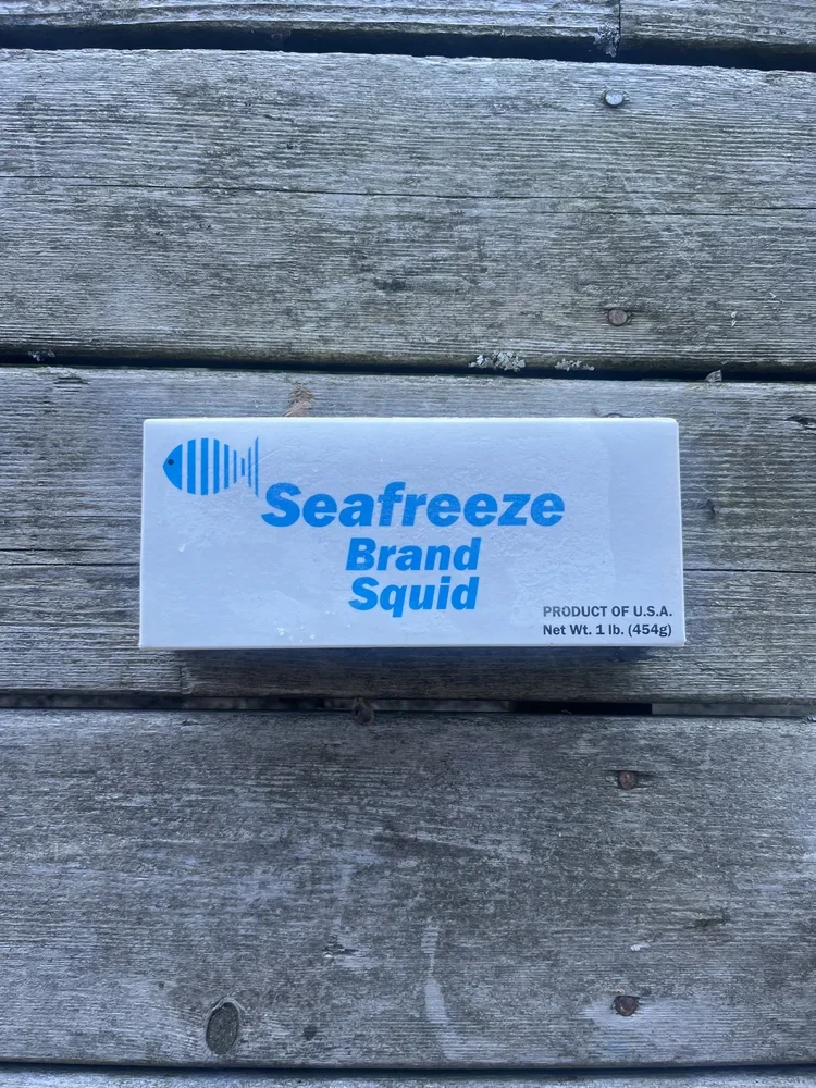 Frozen Block Squid