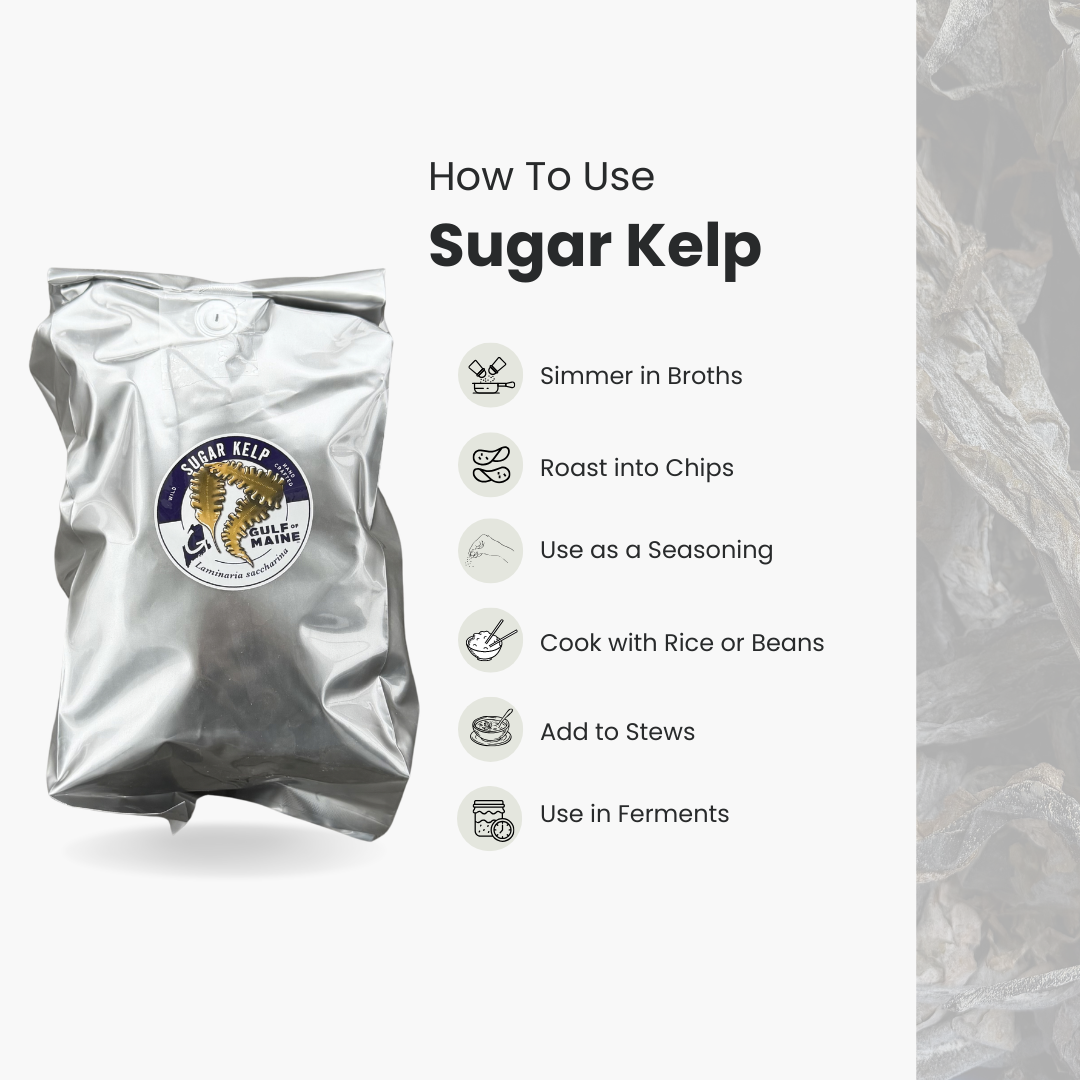 How+to+use+Sugar+Kelp.png