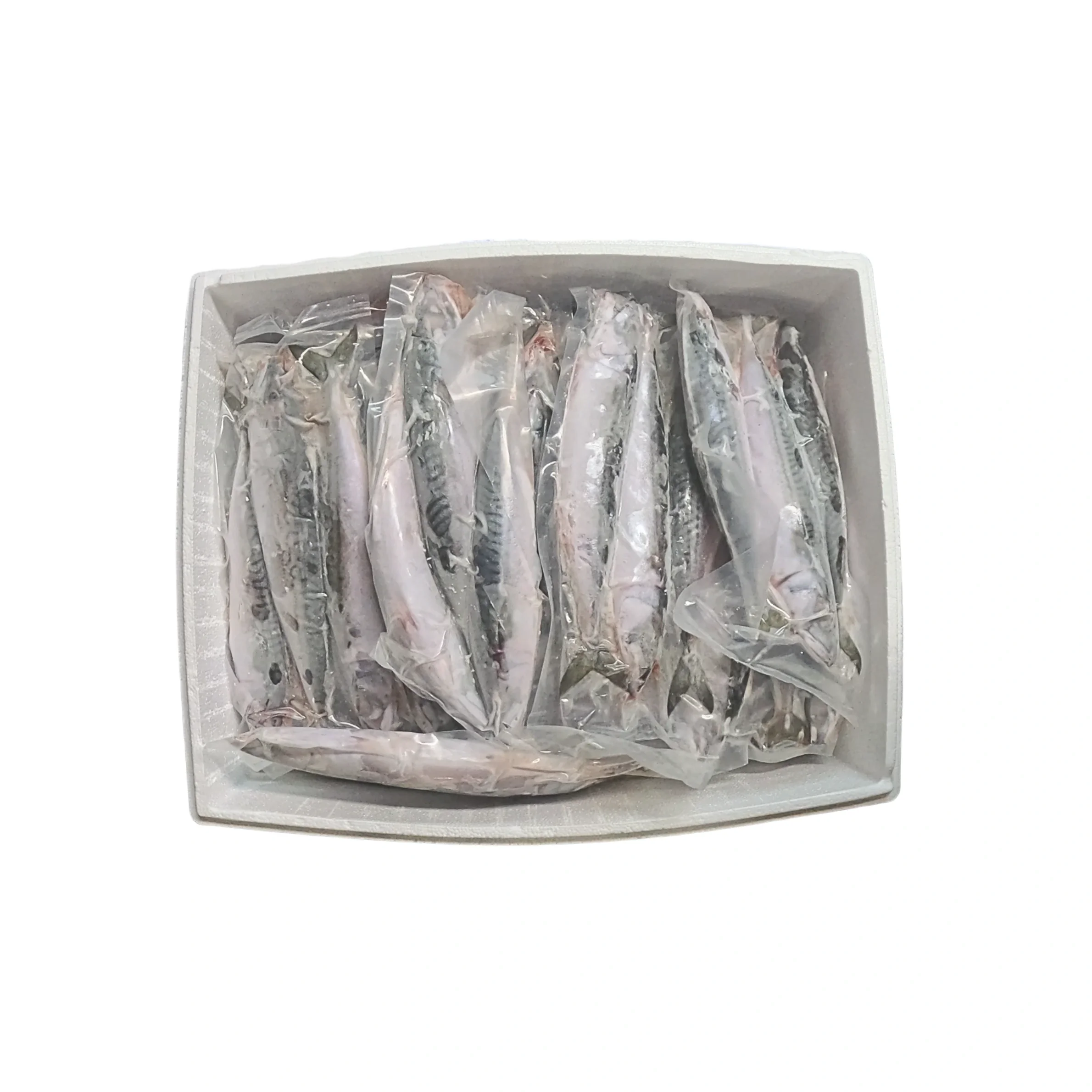 Frozen Mackerel.webp
