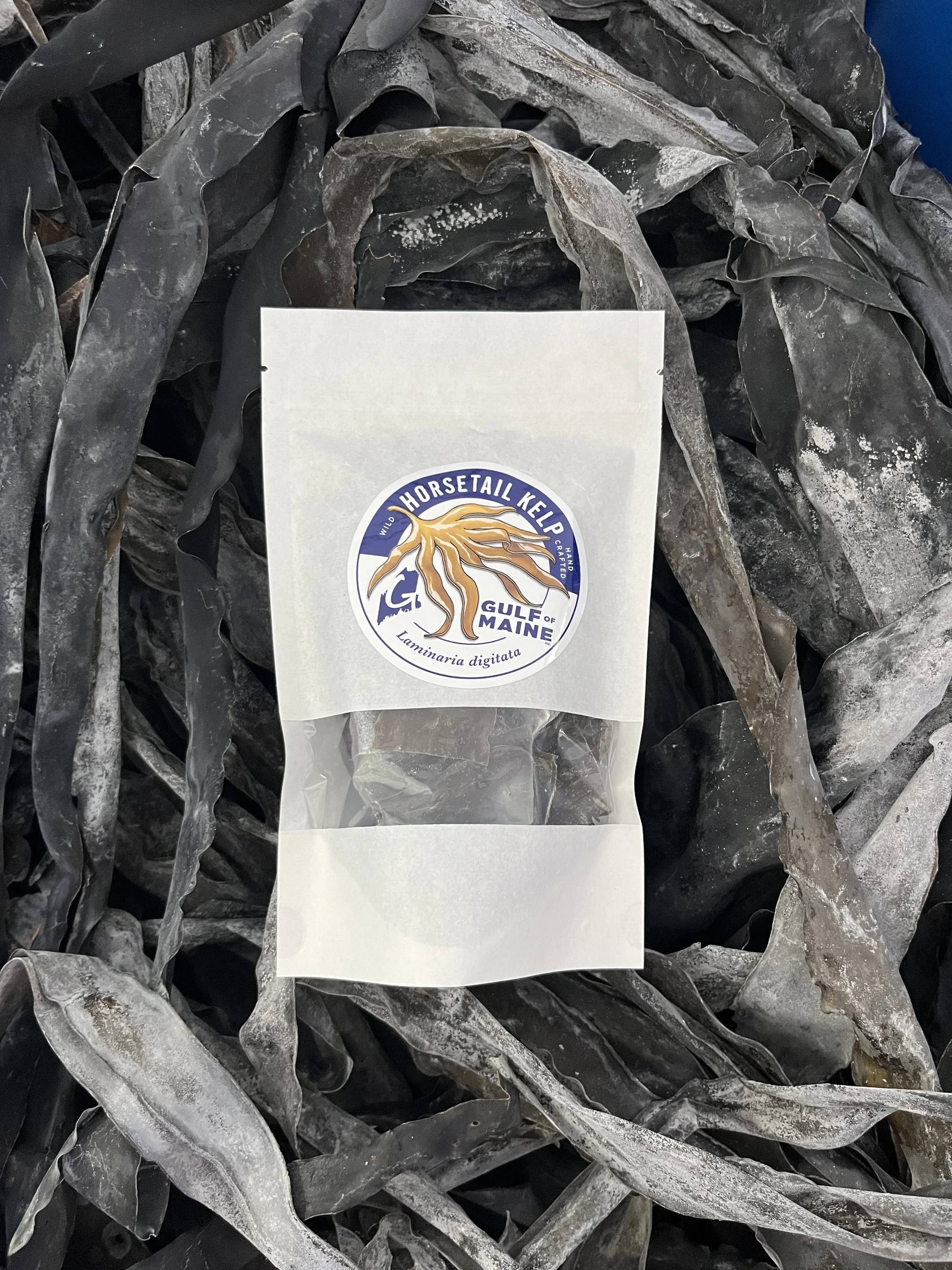 Horsetail Kelp (Laminaria digitata) —Whole Leaf, Flakes, Powder