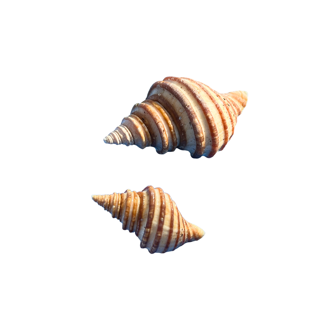 17.png