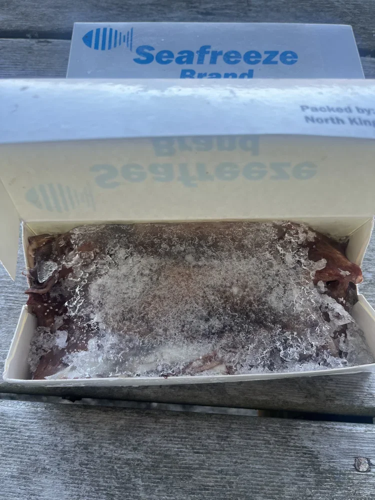 Seafreeze frozen block squid