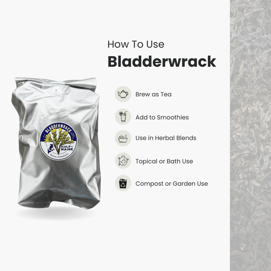 How+to+Bladderwrack.png