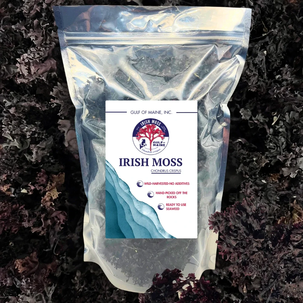 Wild Dried Maine Irish Moss (Chondrus crispus)