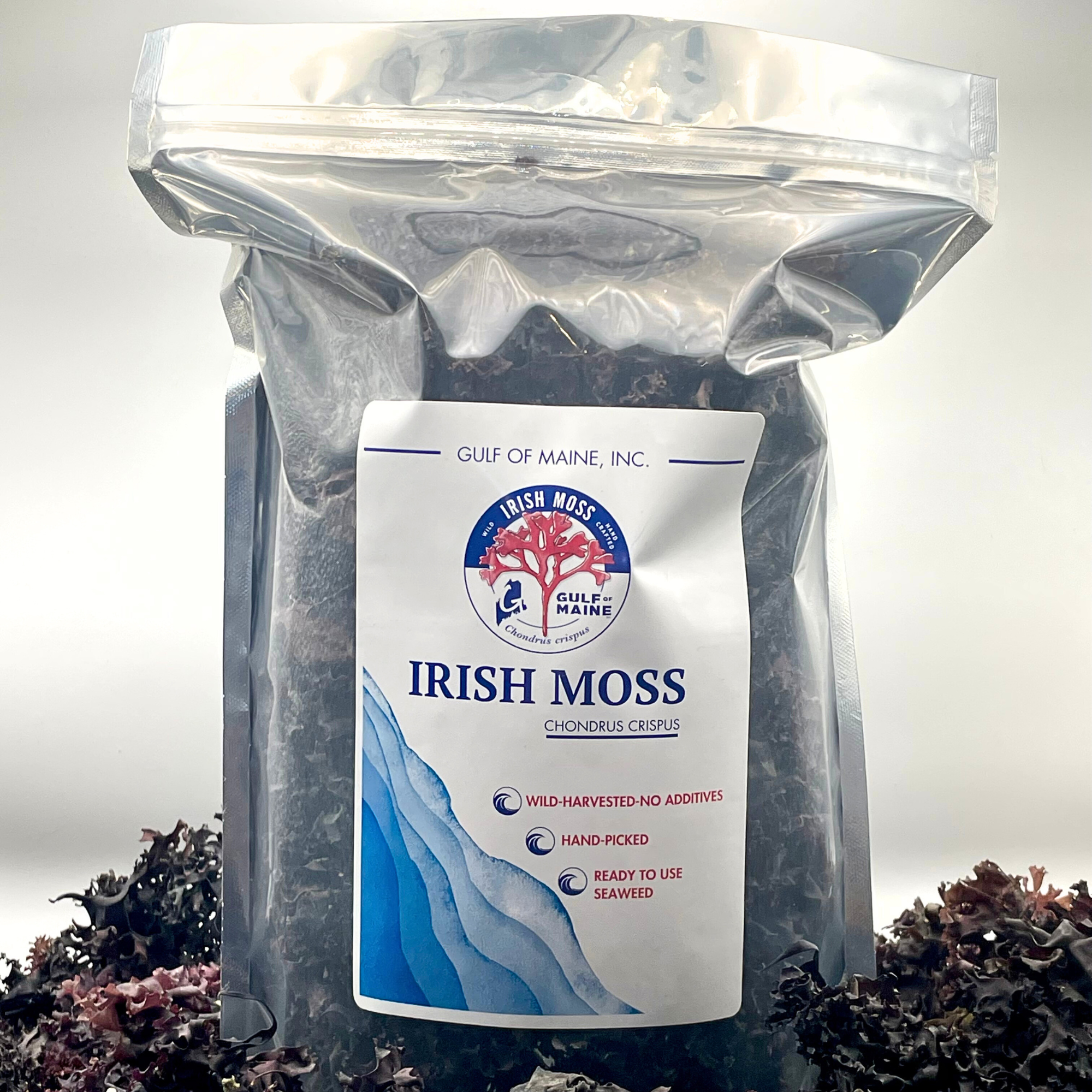 Irish Moss Amazon Photos (2000 x 2000 px).png