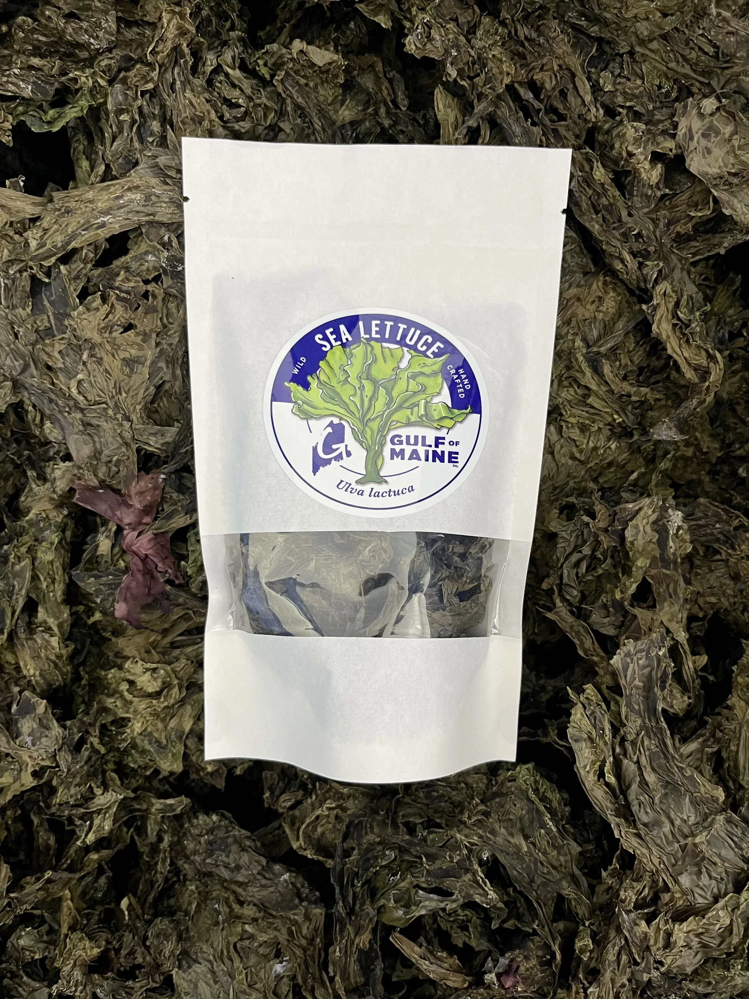 Sea Lettuce (Ulva lactuca) —Whole Leaf, Flakes, Powder