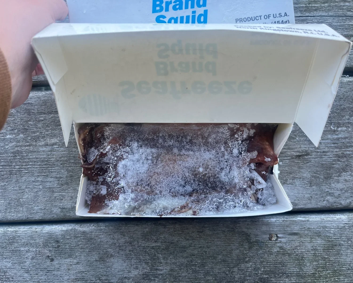 Squid frozen in block form