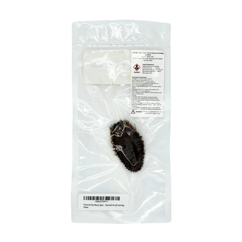 preserved sea mouse specimen in a vac-sealed bag for dissection and research purposes with warning label visible