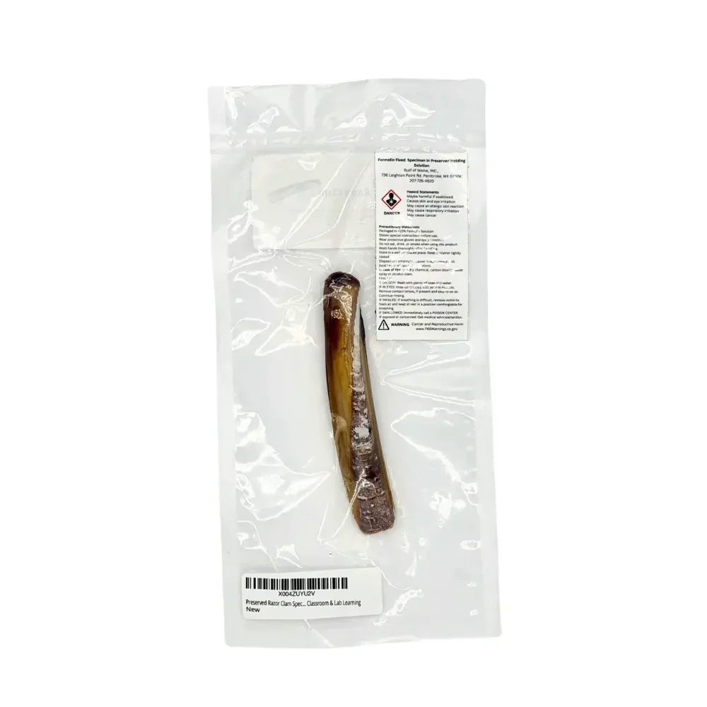 Preserved razor clam in a vac-sealed bag ready for dissection or study, warning label visible