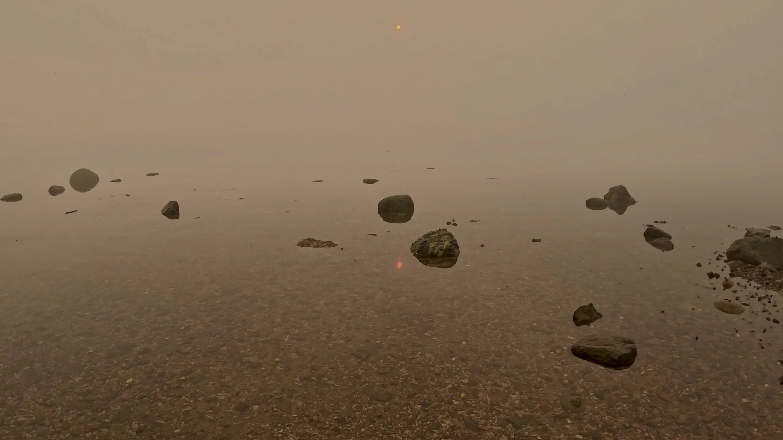 Rocky Maine shoreline exposed during an exceptionally low tide with scattered boulders and calm water.