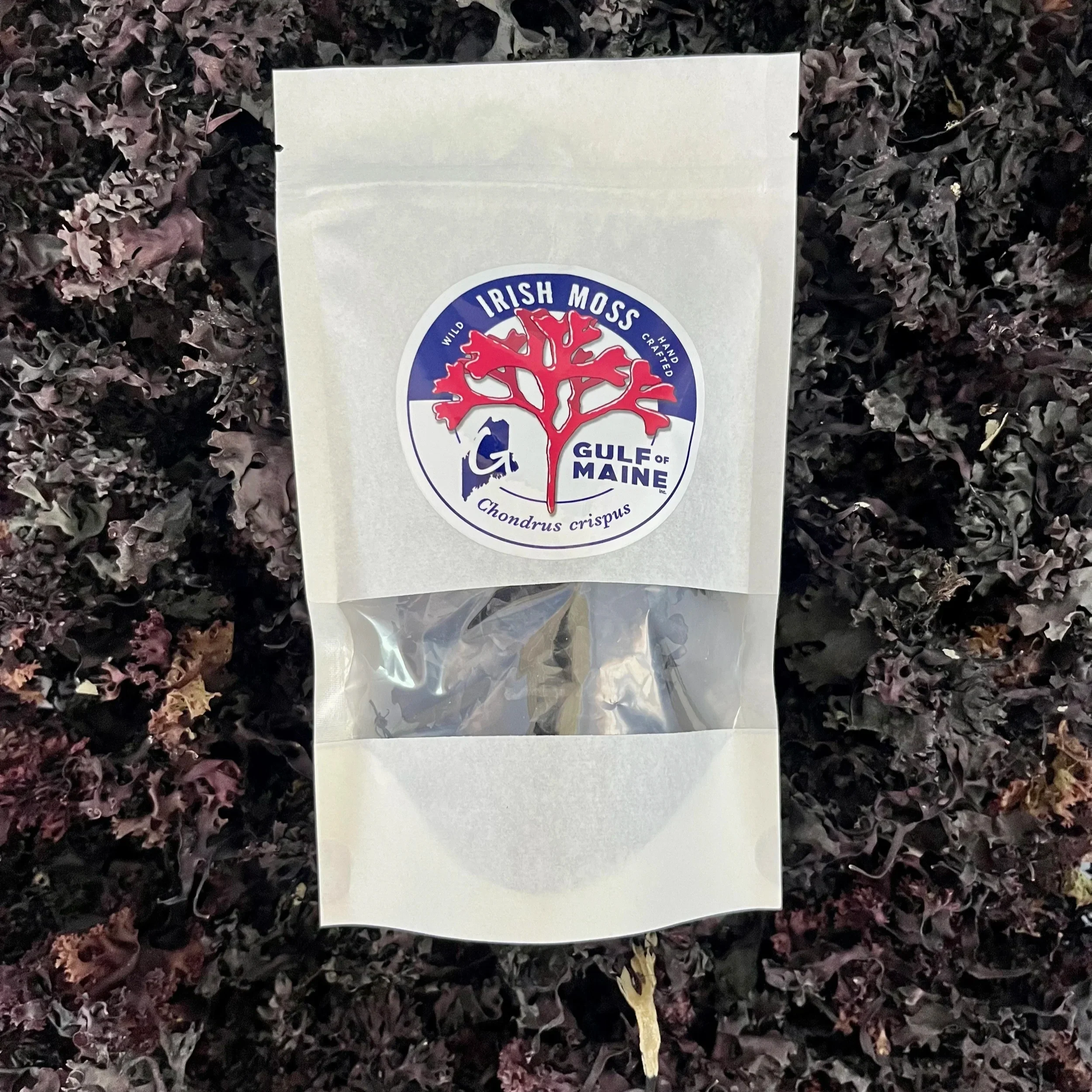 Purple Irish Sea Moss - Chondrus crispus - Dried - FREE SHIPPING