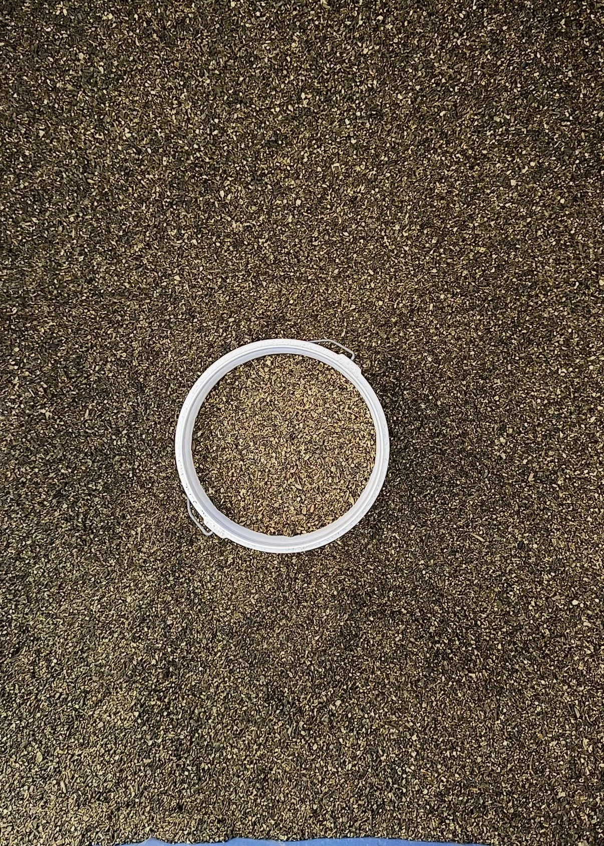 View recent photos.jpeg