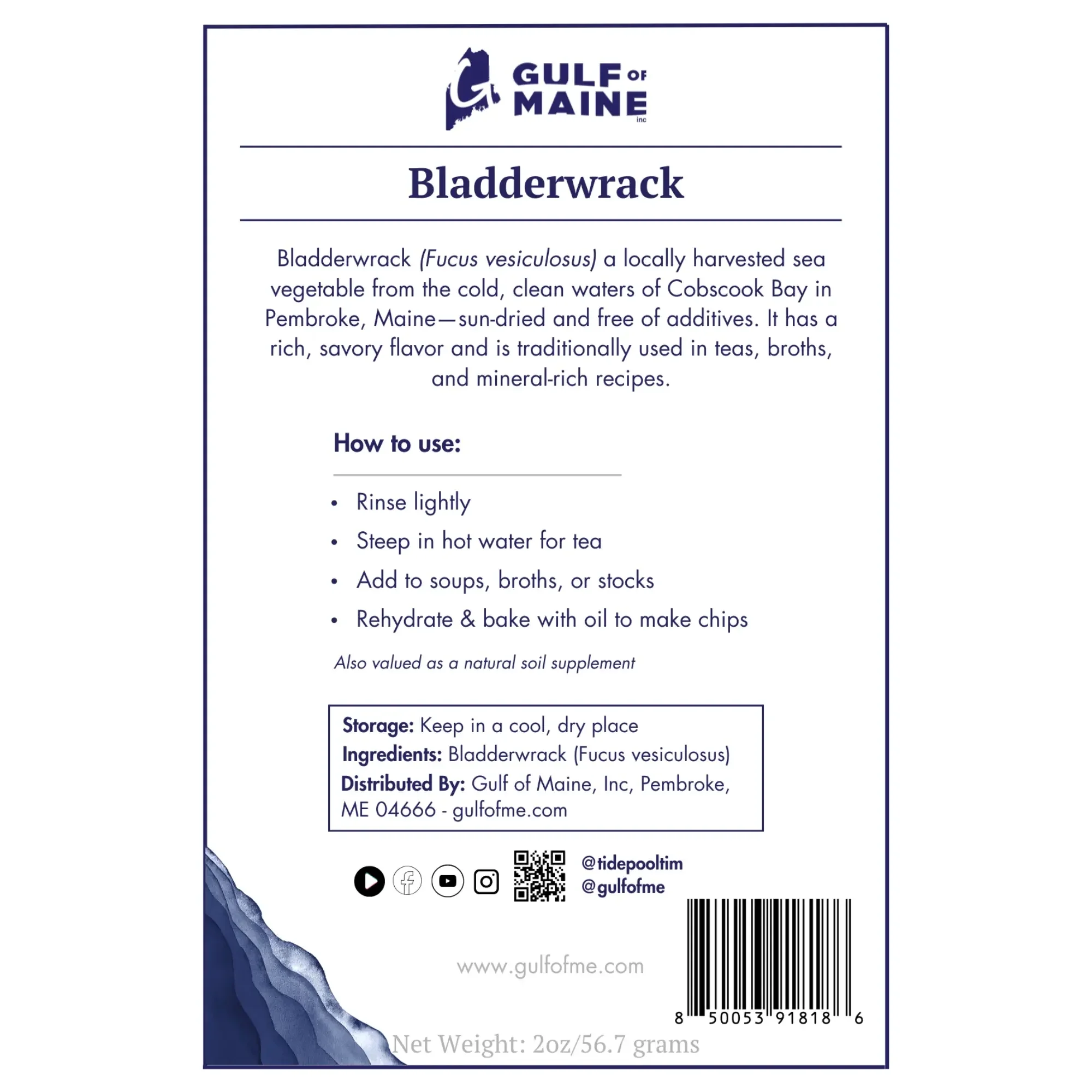 Bladderwrack.webp