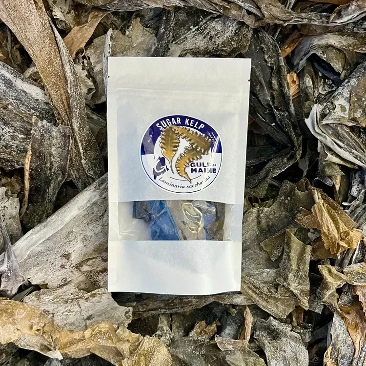 %27Sugar%27+Kelp+%28Laminaria+saccharina%29+-+Whole+Leaf%2C+Flakes%2C+Powder.webp