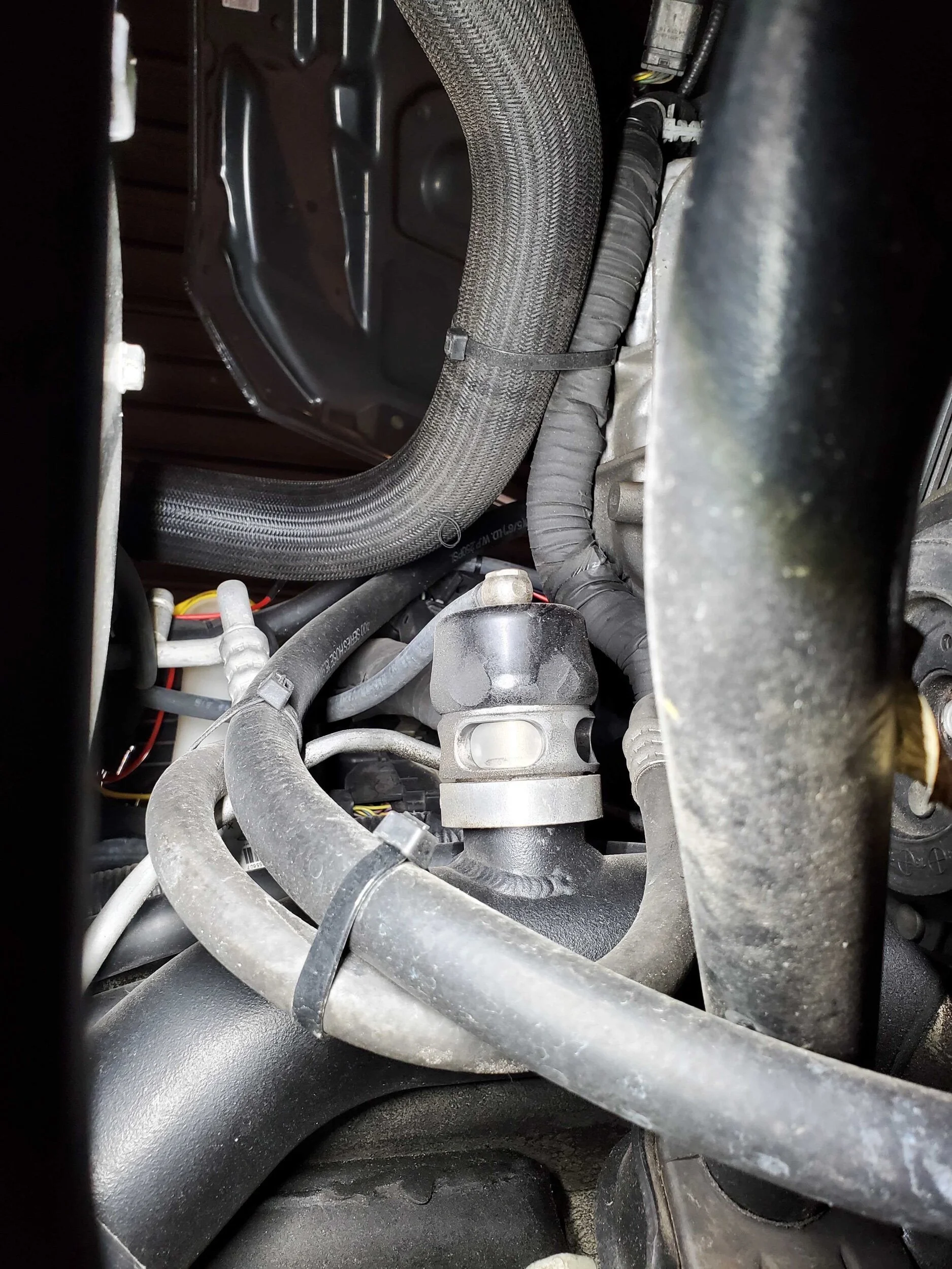 2950A1C4-D56F-4C95-8EC8-9FB2B28862E3