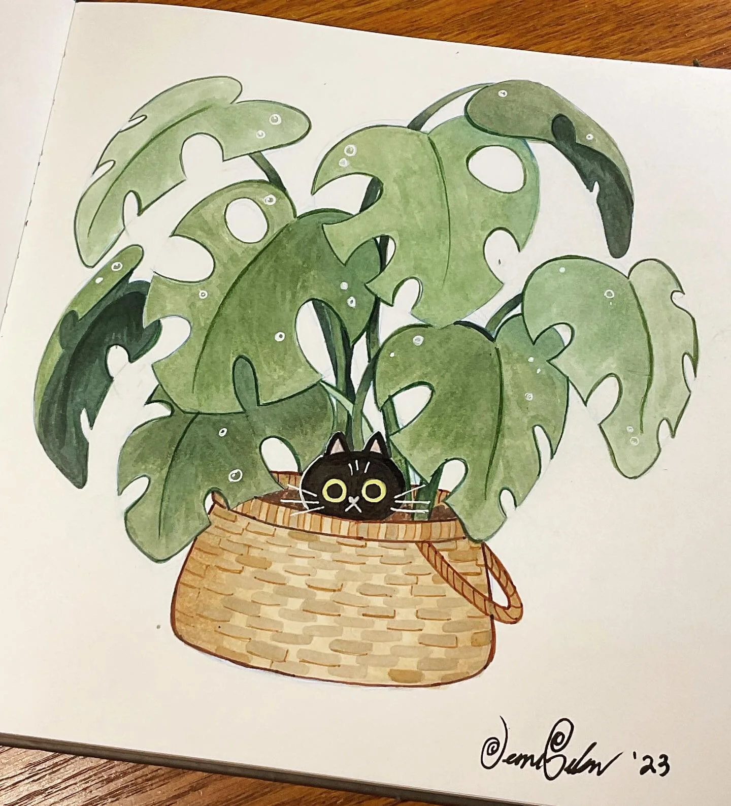 Another sketchbook doodle I did a while ago. I been into growing &amp; maintaining houses plants as little hobby lately. My current favorite plant I&rsquo;m growing is a Monstera, which I dream will get as big as this drawing. I can dream right? Fing
