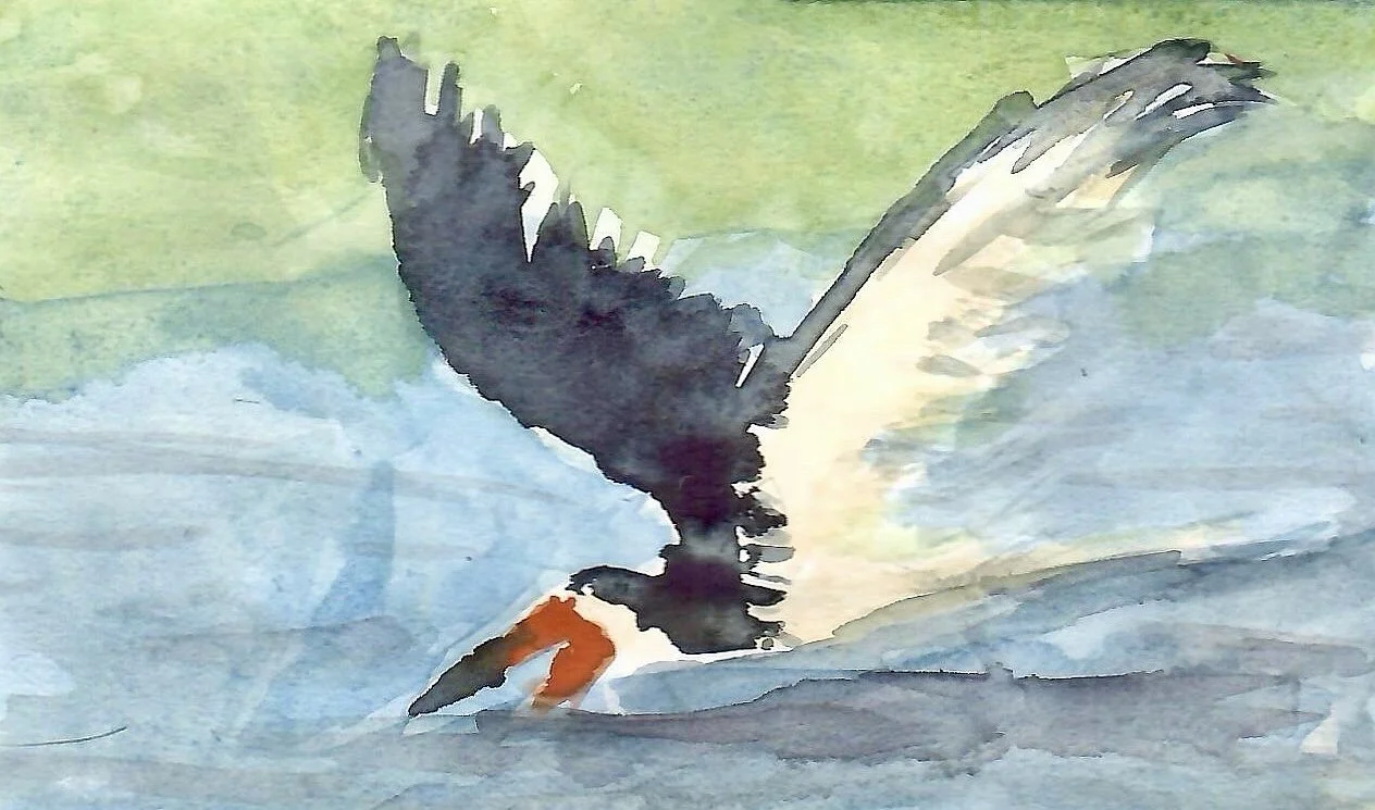 Photo_2024-07-24_113353 (1).JPEG