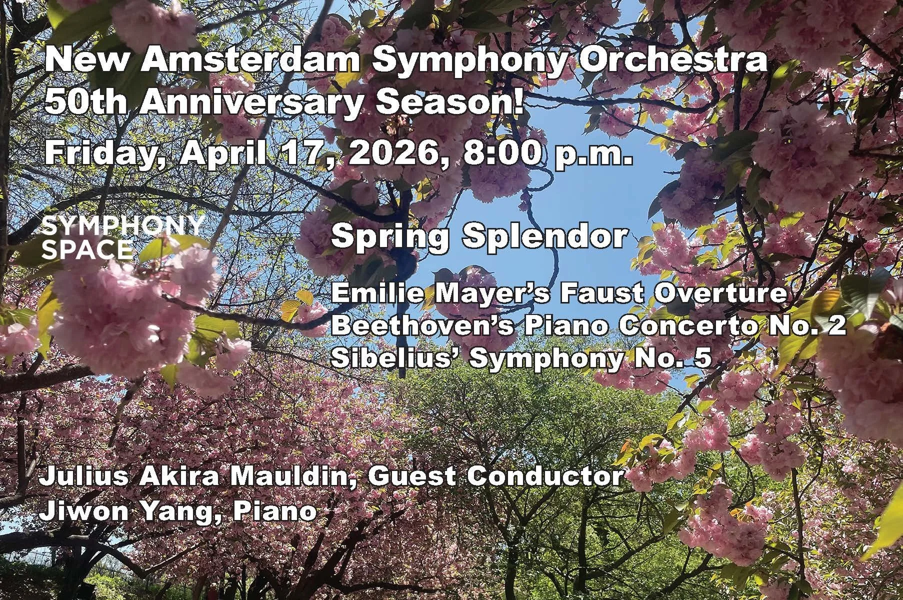 New Amsterdam Symphony Orchestra concert