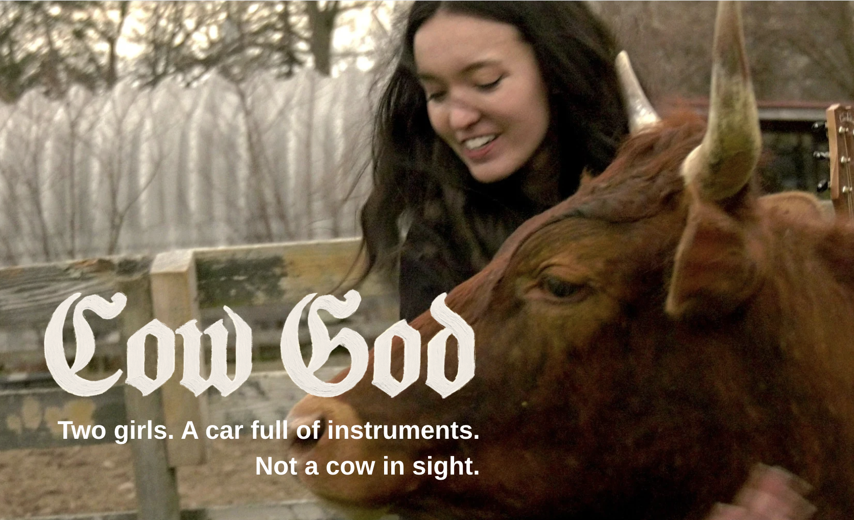 SHORT FILM FUNDRAISING CAMPAIGN: COW GOD
