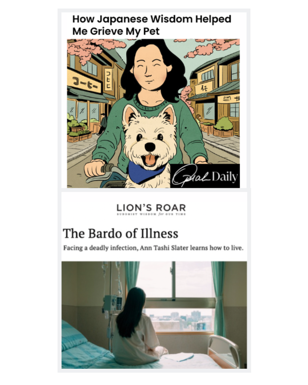 Ann tashi slater november news