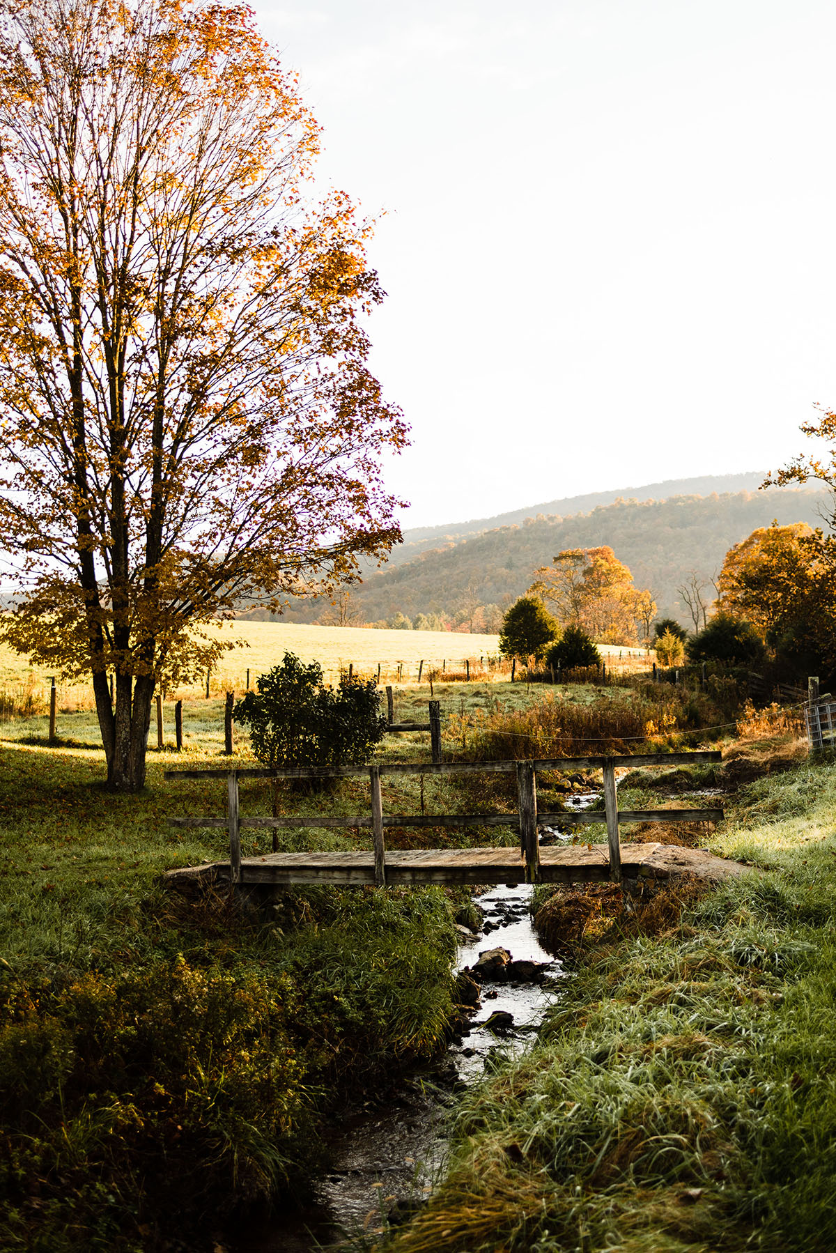 BRUS-web-21.jpg