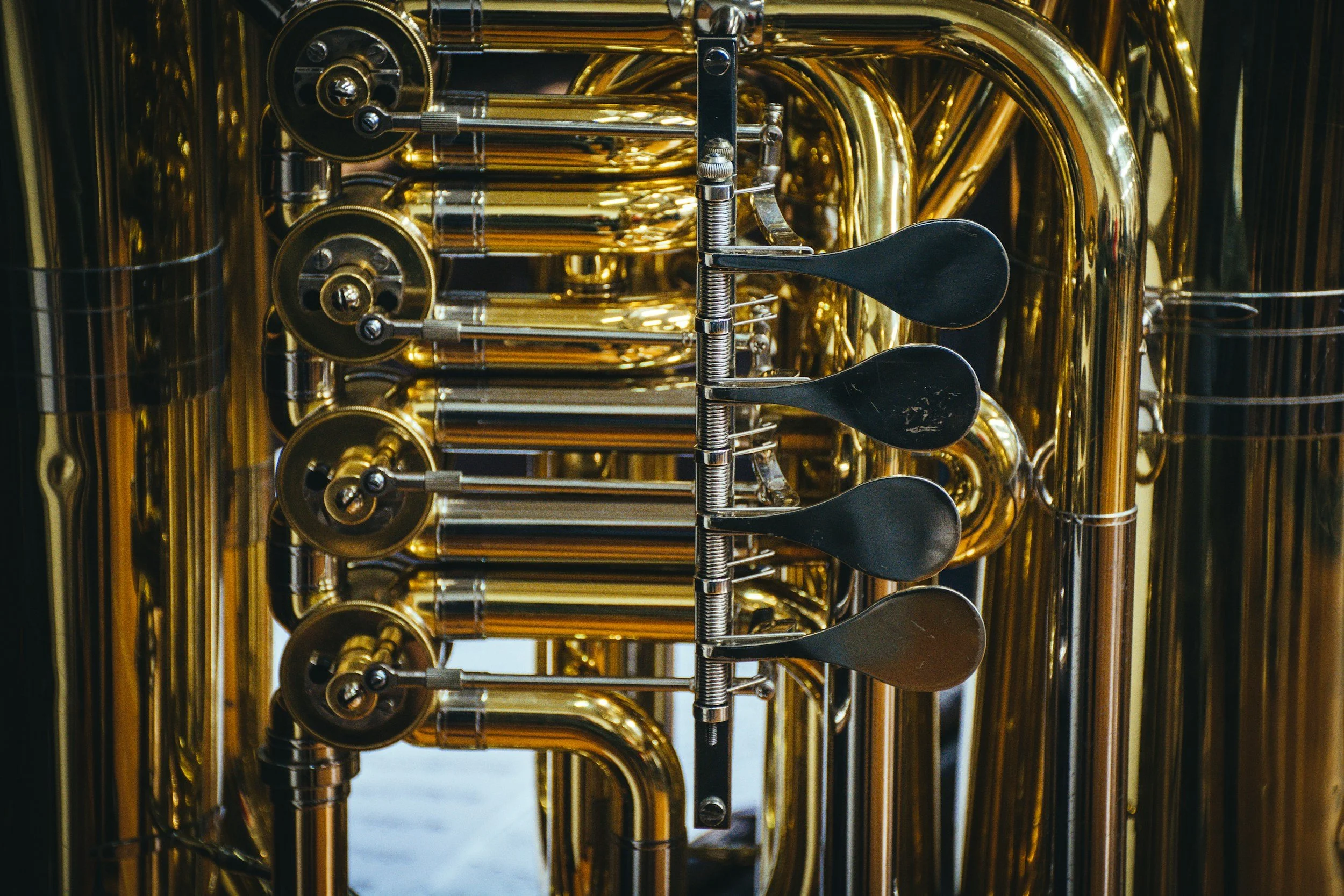 unsplash-image-Md8c-amE5ms.jpg