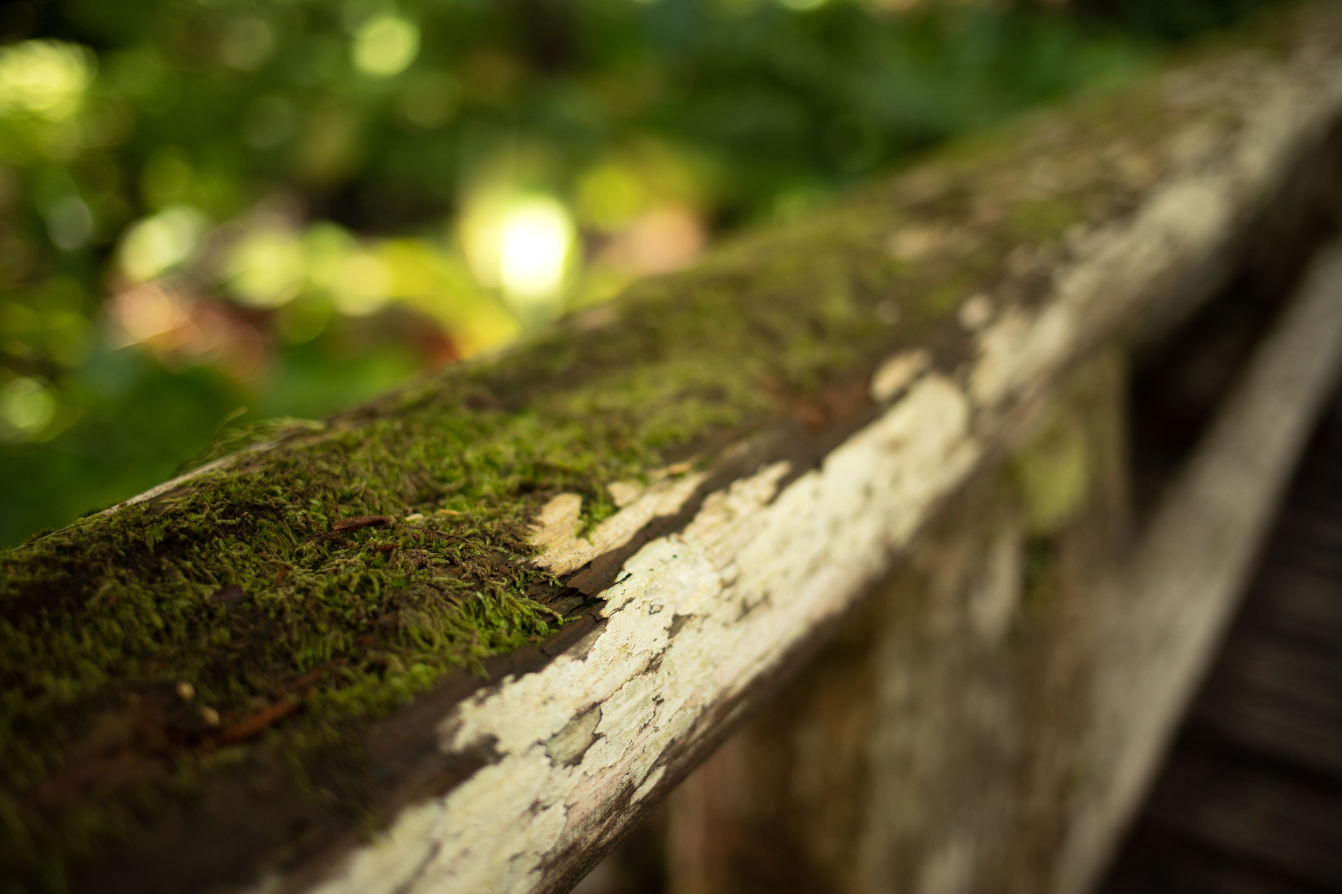 IMG_9109-Edit.jpg