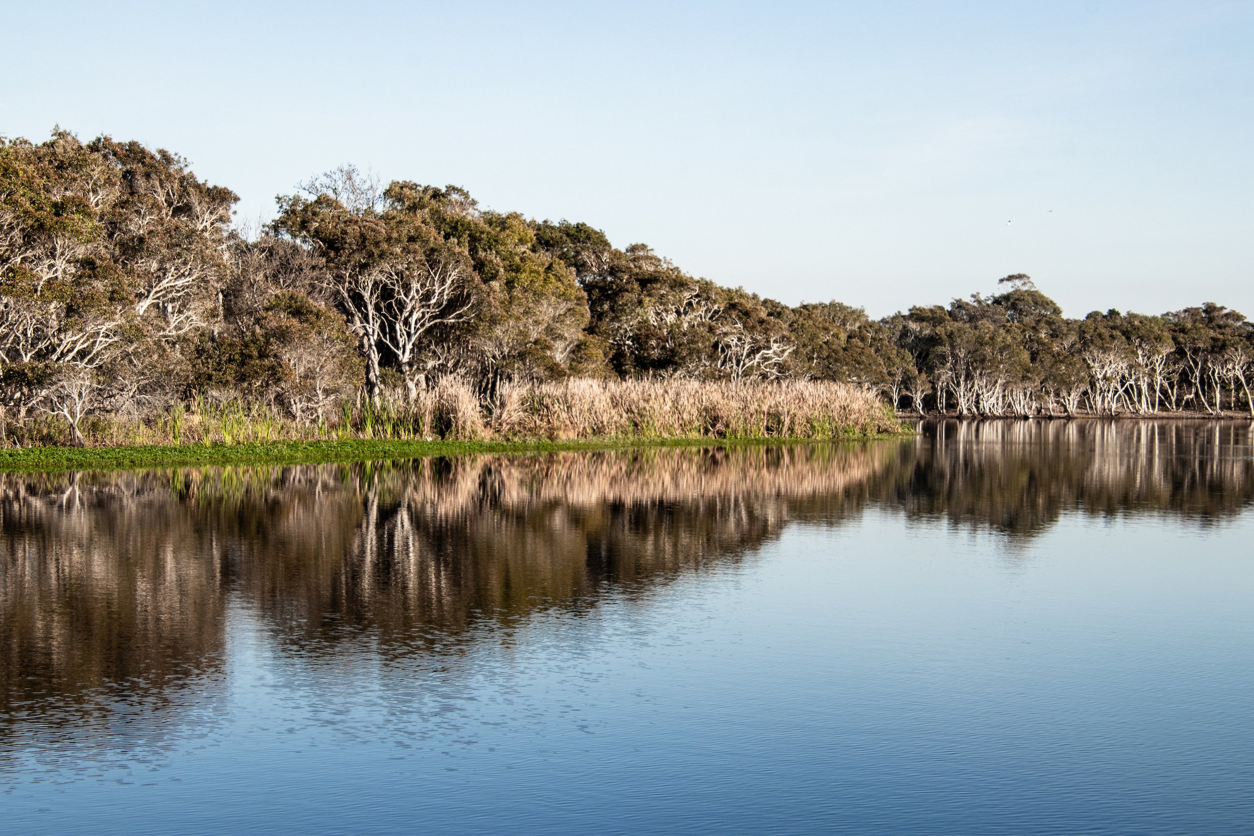 Lake Ainsworth, Lennox Head, NSW