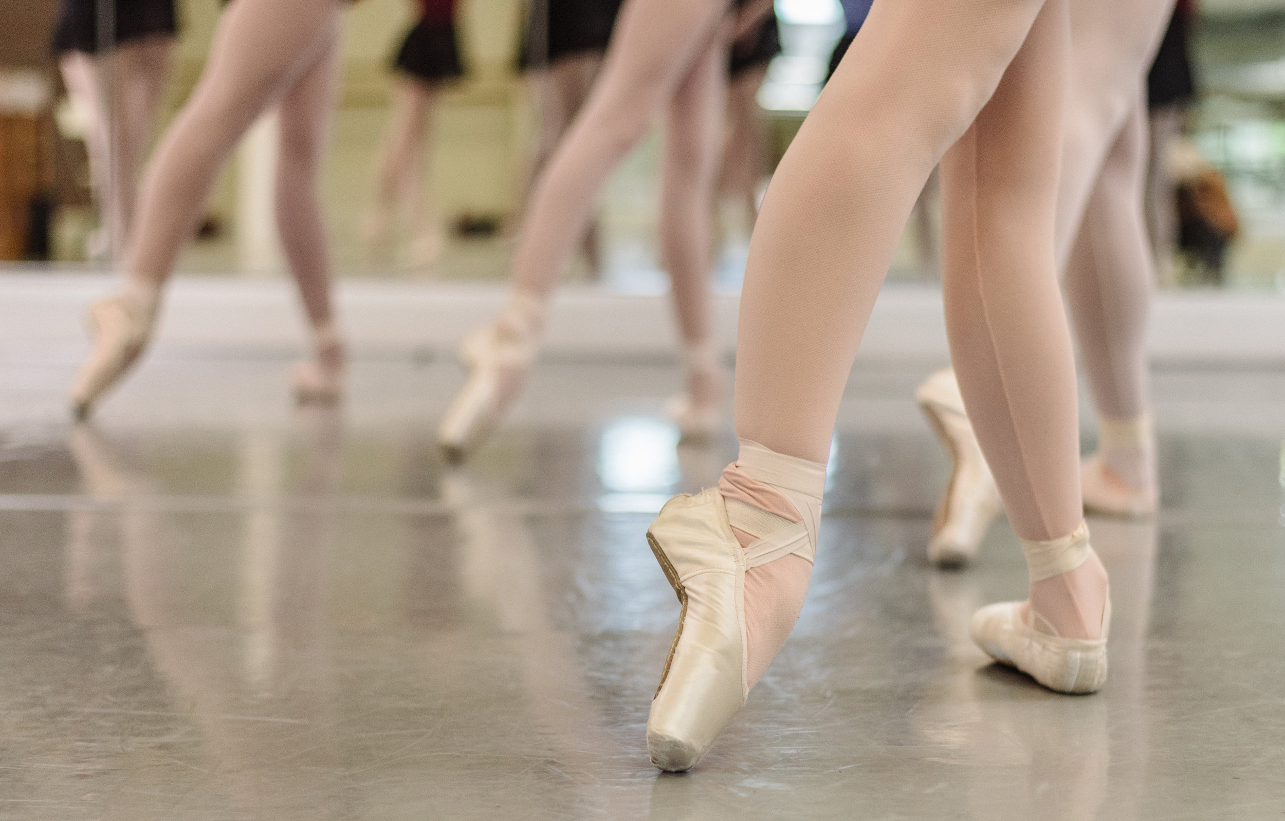 Graded Program page - Pointe shoe.jpg